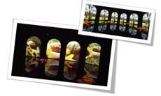 數(shù)字告示in世博 最Hot應用總整理