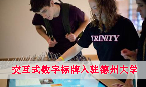 ����ʽ���֘������v���ݴ�W