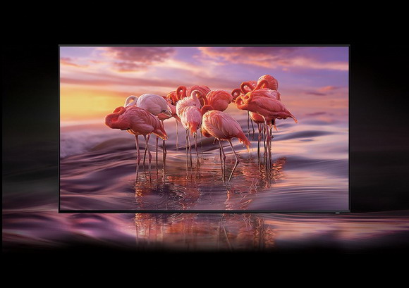 8K�с����������塱��BIRTV 2019�P(gu��n)�I��